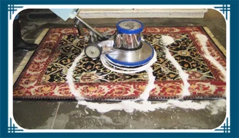 Professional Area Rug Cleaning